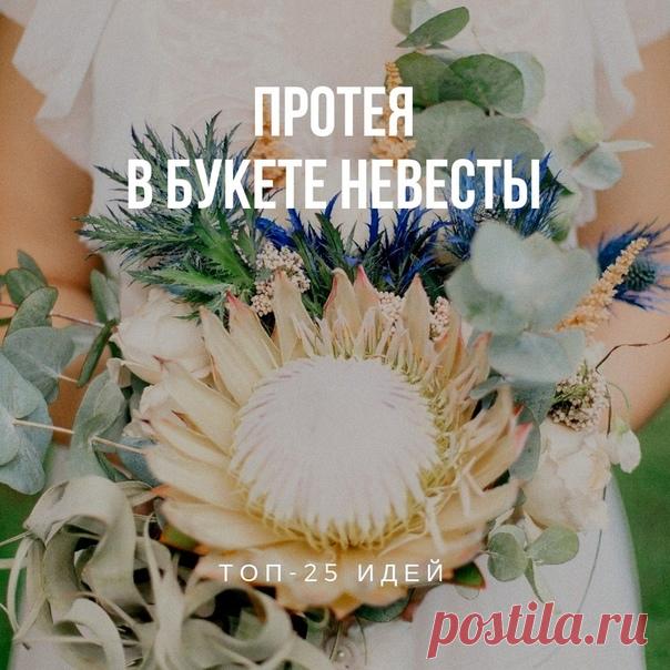 Протея в букете невесты: ТОП-25 идей: weddywood.ru/proteja-v-bukete-nevesty-top-25-idej