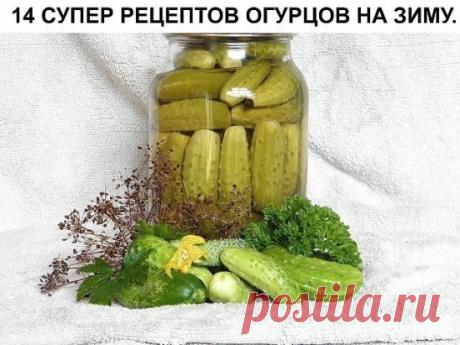 Огурцы на зиму