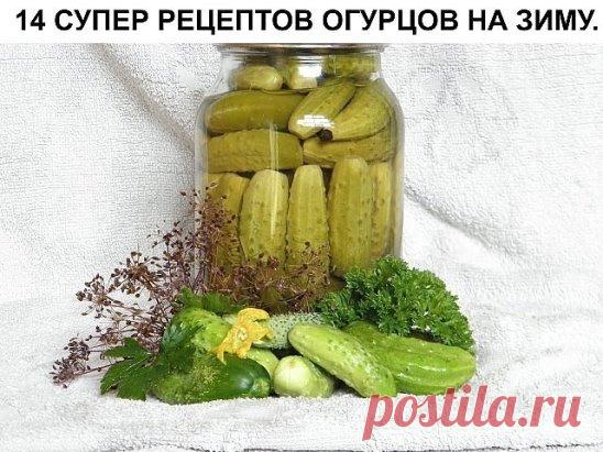 Огурцы на зиму