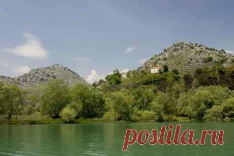 Momir Matkovic - Momir Matkovics Fotos | Facebook