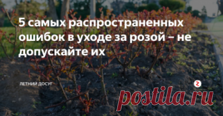 5 самых распространенных ошибок в уходе за розой – не допускайте их  Роза – это садовый цветок, который не из прихотливых. Да, за ним специфический уход, но он не такой сложный. Зато красота цветов, которые будут радовать вас всё лето окупит все ваши старания. Вот только есть 5 маленьких но, которые важно избегать, чтобы кусты ваших роз были здоровыми и красивыми.
