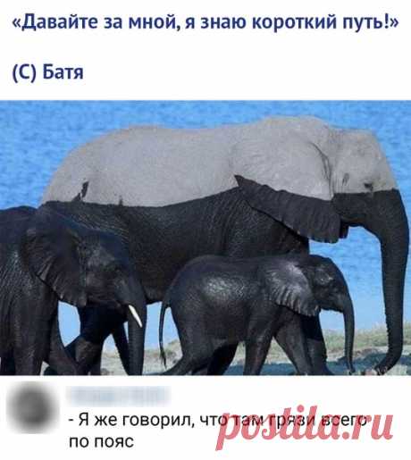 Интересные Факты