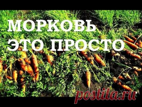 Советы садоводу и дачнику