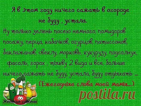 Только моя  так говорит?