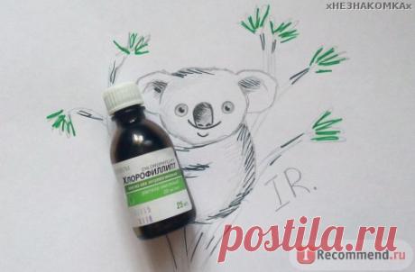 Противомикробные средства Arterium Раствор масляный Хлорофиллипт - «Золотистый стафилококк УБИВАЕТ людей! Но существует природный БЕЗОПАСНЫЙ препарат за 100 рублей от стафилококка. Хлорофиллипт от АНГИНЫ,ТОНЗИЛЛИТА,НАСМОРКА,ЭРОЗИИ ШЕЙКИ МАТКИ,ТРЕЩИН ОТ ГВ,ПРЫЩЕЙ. Разрешен беременным,кормящим и младенцам.» | Отзывы покупателей