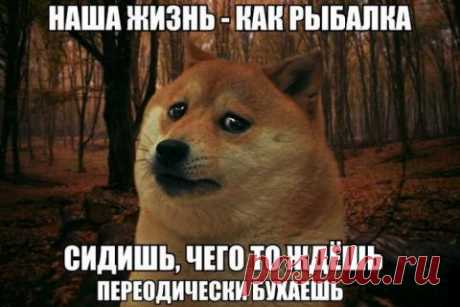 Лучшее | Приколисты в картинках