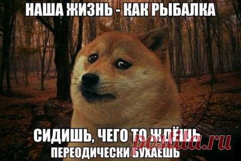 Лучшее | Приколисты в картинках