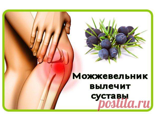 МОЖЖЕВЕЛЬНИК ВЫЛЕЧИТ СУСТАВЫ
Секреты женского здоровья!