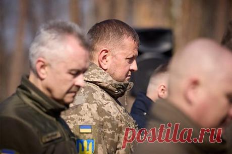 В США уличили Зеленского в попытке скрыть травму Залужного. Президент Украины Владимир Зеленский пытается скрыть, что главнокомандующий Вооруженными силами Украины (ВСУ) Валерий Залужный получил тяжелую травму. В этом главу государства уличил бывший аналитик ЦРУ Реймонд Макговерн. Он поинтересовался, где сейчас находится Залужный.