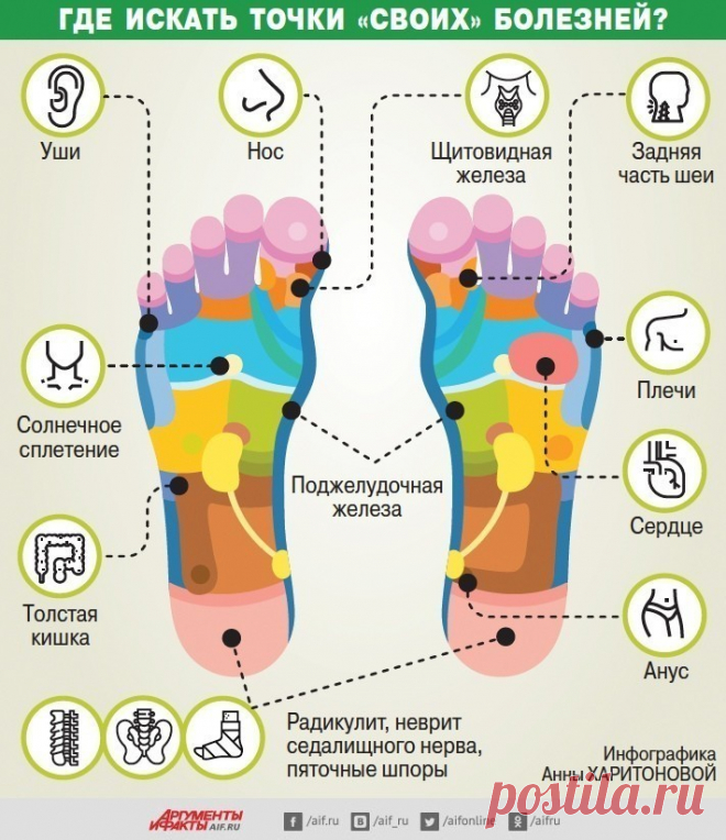 СТАРОСТЬ НАЧИНАЕТСЯ С НОГ. ГДЕ ИСКАТЬ ТОЧКИ «СВОИХ» БОЛЕЗНЕЙ? 

Ещё врачи в древнем Китае выяснили, что старение организма начинается с ног. А именно с пяток. 

Согласно канонам древнекитайской медицины, именно на пятках расположены активные точки, которые отвечают за правильное функционирование всех органов. И если пятки «нетренированные», то и всему организму плохо — не дышится, и в результате стареет каждый орган. 


Так какие рецепты есть для сохранения здоровья наших ...