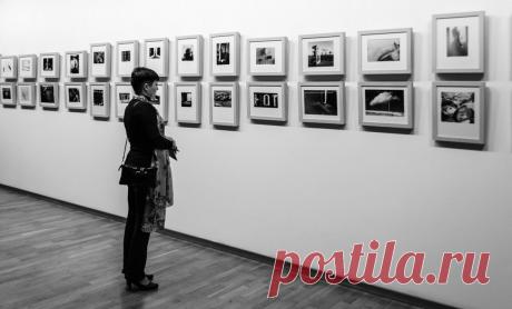 Владимир Шитиков – ФотоКто