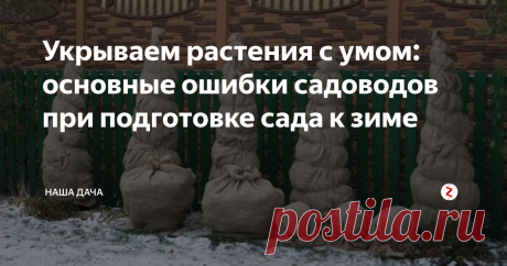 Укрываем растения с умом: основные ошибки садоводов при подготовке сада к зиме Самое худшее, что может произойти – это то, что корневая система кустов или цветов вымерзнет. А без корней, сами понимаете, ни один цветок не вырастет. И куст. И деревце. Так что читаем полезные советы от опытных садоводов и действуем точно по инструкции!