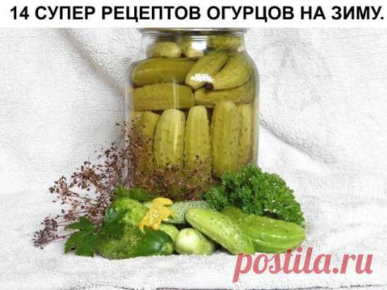 9. Маринованные огурцы и помидоры (очень простой и вкусный рецепт) 
10. Секретный рецепт обалденных огурцов «Пальчики оближешь» 
11. Маринованный салат из огурцов 
12. Малосольные огурцы с водкой 
13. Малосольные огурцы «Острые»
 14. Летний салат на зиму 
1. Консервированные огурцы с красной смородиной. 
Ингредиенты для 2 литров:
Огурцы
3 зонтика укропа
4-6 листьев черной смородины
4-6 листьев вишни
4 зубчика чеснока
8-10 горошин черного перца
500-600г. Красная смородина
И...