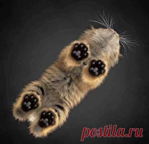 (84) Твиттер
