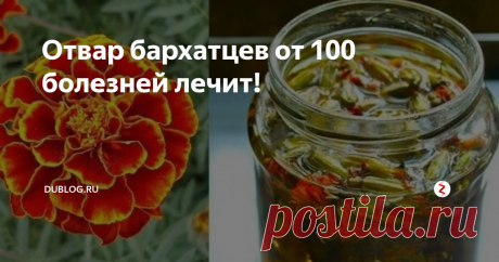 Отвар бархатцев от 100 болезней лечит! Многие спрашивают, зачем столько бархатцев сушите? Да ведь чернобрывцы — сильное лекарство, сушу, чтобы на весь год хватило!
Мало кто знает о лечебных свойствах чернобрывцев, или бархатцев. А ведь это растение обладает большой целебной силой.
Например,  в народной медицине водный настой цветков чернобрывцев в древности  применяли как мочегонное, потогонное и противоглистное средство.
