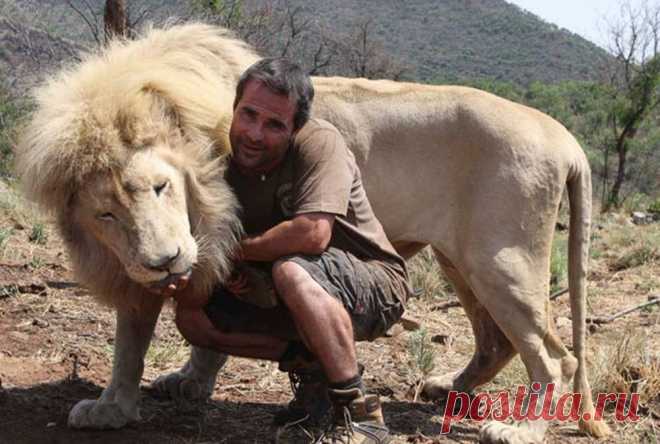 Человек и животные