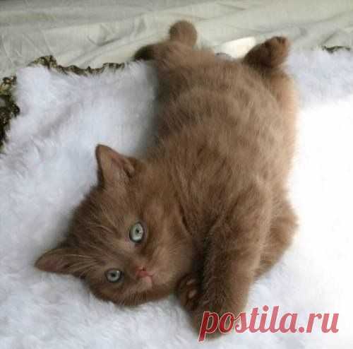 Мой Мир@Mail.Ru
