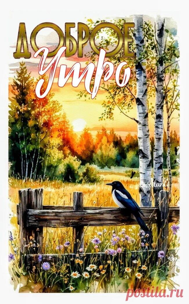 Доброе утро