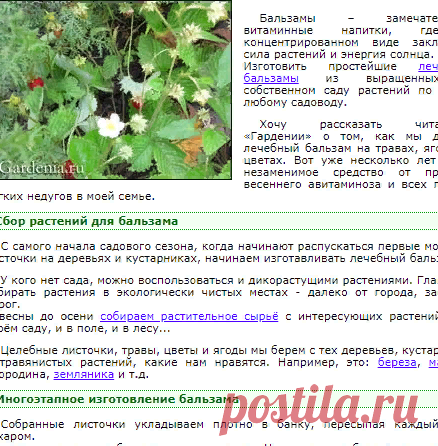 Бальзам на целебных травах, цветах и ягодах