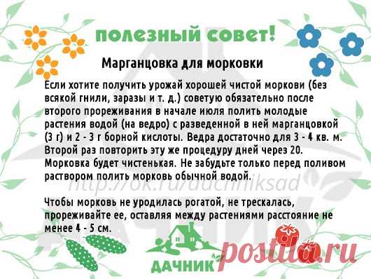 Дачные дела...) - Google+