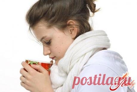 Острый бронхит: лечение медикаментами и народными методами