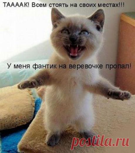 Стоять Бояться .....:-))))