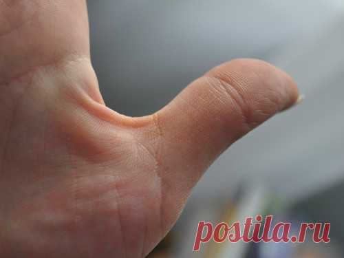 КАК ГАДАТЬ ПО РУКЕ САМОСТОЯТЕЛЬНО?