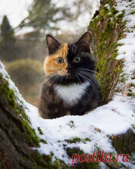 Мой Мир@Mail.Ru