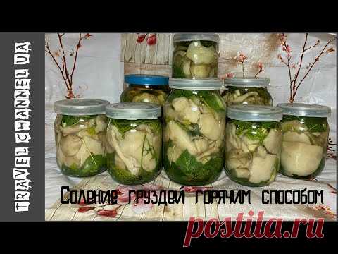 ЗАСОЛКА ГРИБОВ НА ЗИМУ! ГРУЗДИ И СКРИПИЦЫ. ГОРЯЧИЙ СПОСОБ ( В РАССОЛЕ ).СКРИПИЦА ГРИБ ПРИГОТОВЛЕНИЕ
