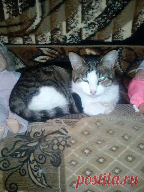 (21) Facebook