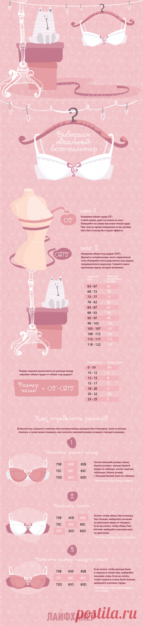 ИНФОГРАФИКА: Как быстро найти правильный размер бюстгальтера с помощью смежных размеров - Лайфхакер