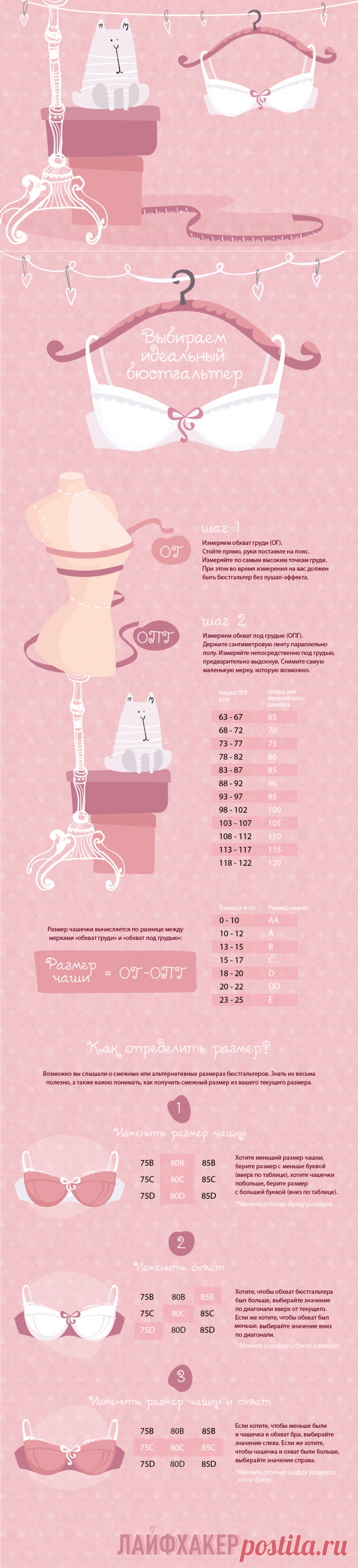 ИНФОГРАФИКА: Как быстро найти правильный размер бюстгальтера с помощью смежных размеров - Лайфхакер