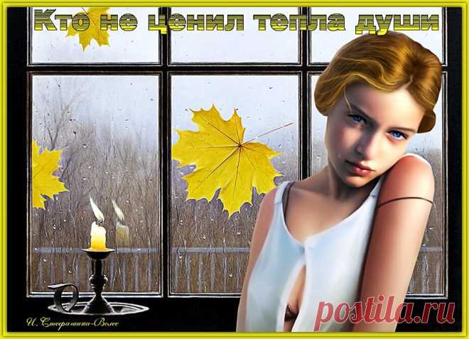 Кто не ценил тепла души... стихи о жизни и любви. | Ирина Стефашина | Яндекс Дзен