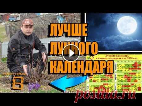 ЛУЧШИЙ КАЛЕНДАРЬ САДОВОДА И ОГОРОДНИКА. САМЫЙ ТОЧНЫЙ КАЛЕНДАРЬ САДОВОДА. САД (ОГОРОД) И ТЕПЛИЦА Есть множество календарей садовода и огородника: посевной календарь, лунный календарь, лунный календарь года садовода огородника, календарь садовода н...