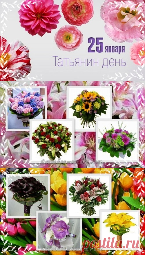 Какие цветы подарить на Татьянин день. Как выбрать букет для Татьяны | Удивительная радуга жизни