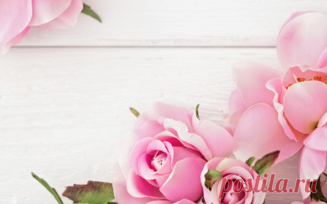 Скачать обои pink, flowers, roses, розы, раздел цветы в разрешении 1600x1000