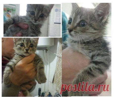 Таня Мухачева