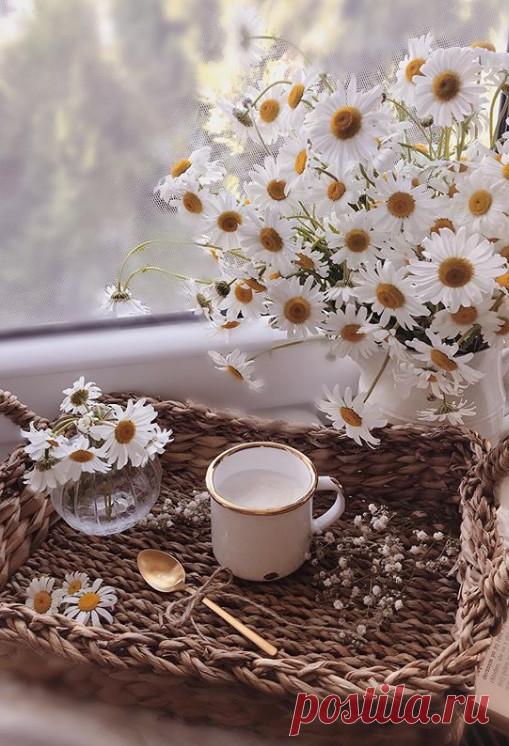 В одном часе любви – целая жизнь. Оноре де Бальзак