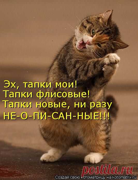 Котоматрица: Лучшие за декабрь 2011