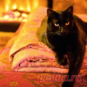 Энергетика дома: какие вещи "добрые", а какие - "злые"