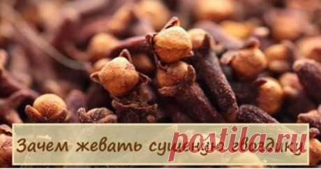 Семейный врач велел жевать сушеную гвоздику... Потрясающий эффект! - Интересный блог