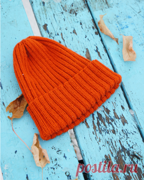 Стрекоза в полёте: Шапка-тыковка