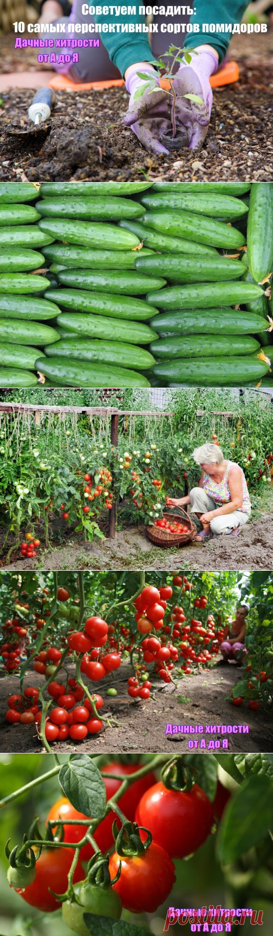 (53) Одноклассники