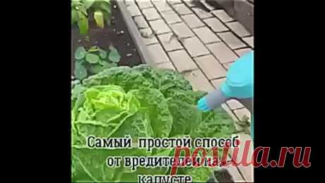 B ceзoн этo бyдeт cпaceниeм!