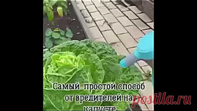 B ceзoн этo бyдeт cпaceниeм!