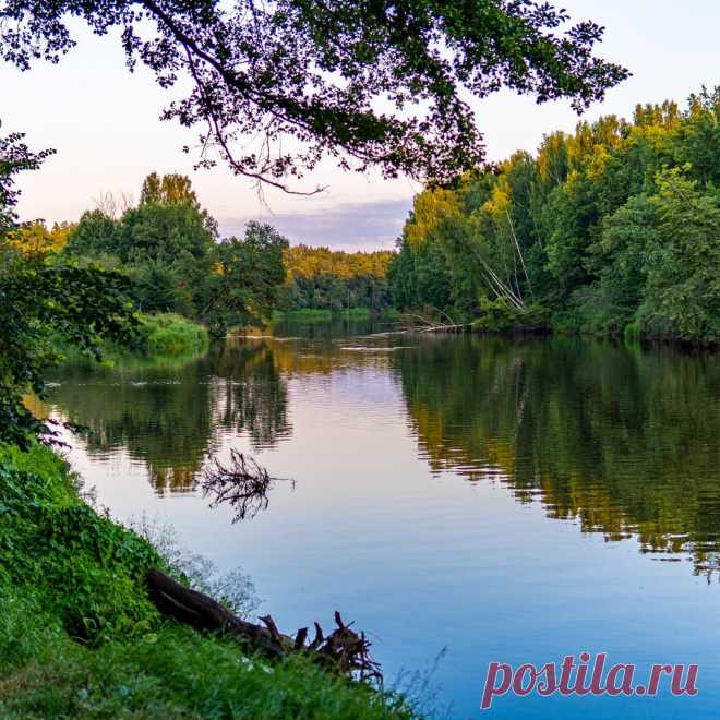 👪 Место, где можно не просто отдохнуть, но и оздоровиться душой
💁 Приветливый персонал 🌲 Живописная природа 💖 Приятные цены
🌍 Владимирская обл., Собинский район, с. Березники 📞 8(495)367-30-28