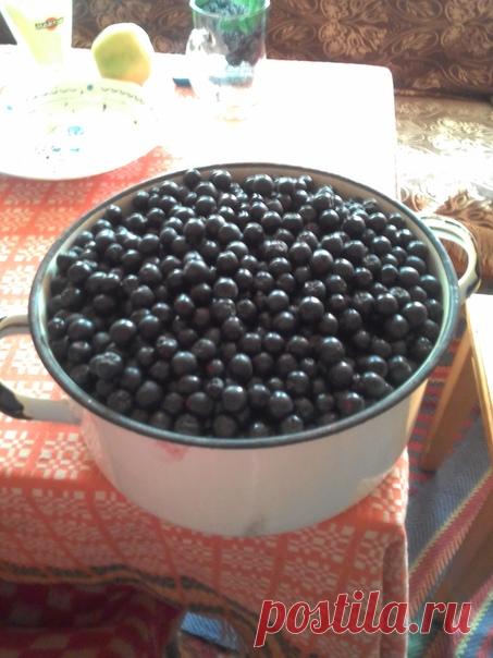 Черноплодная рябина.
Ивановская обл.

Подскажите пожалуйста рецепт черноплодной рябины с сахором, чтобы сохранить ее полезные свойства.
В интернете ни чего дельного нет.
Хотелось бы узнать рецепт из личного опыта.