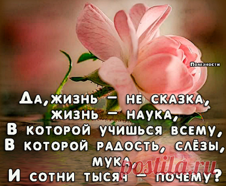Не торопите жизнь, не торопите
На циферблате стрелок бытия..
А просто с удовольствием живите,
Судьбу свою за всё благодаря!