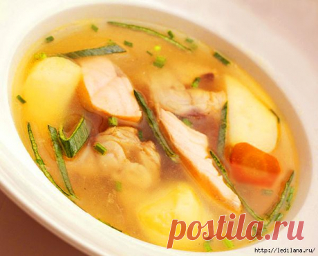 Уха по-монастырски из семги и судака.