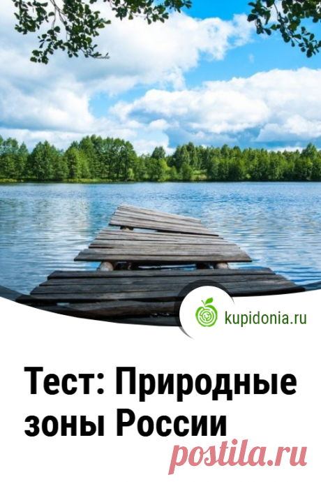 Тест: Природные зоны России. Проверочный тест по географии России. Пройди тест на сайте и проверь свои знания!